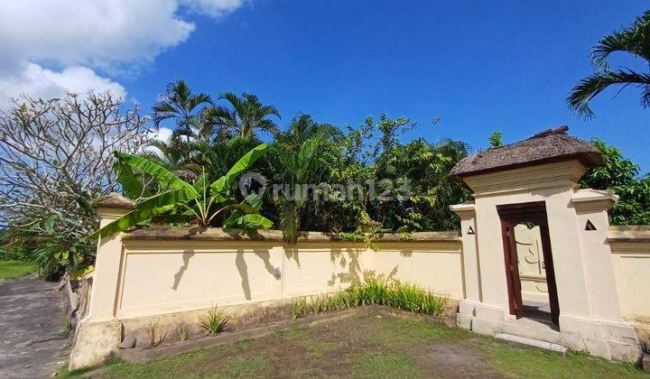 Hot List Top Urgent Termurah Di Kelasnya Di Jual Villa View Sawah Dan Kebun Lokasi Kemenuh Ubud Gianyar 1