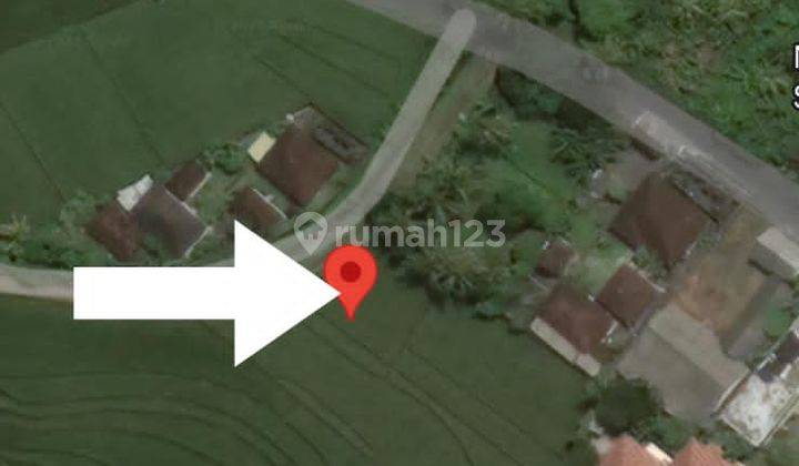 Hot List Land For Sale With Rice Field View Location Tibubiyu Pasut Tabanan 2