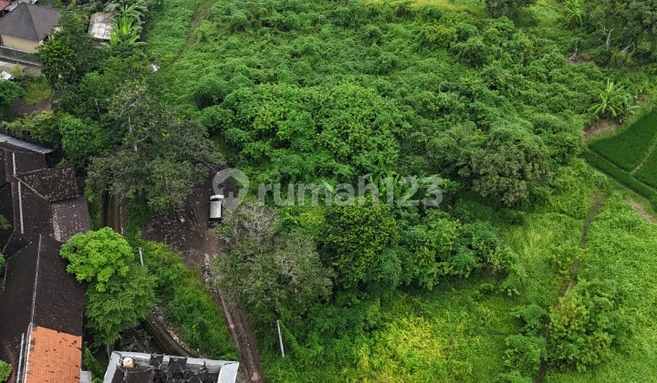 Hot List Top Cheapest In Its Class For Sale Land Location Seseh Cemagi Mengwi Badung Urgent