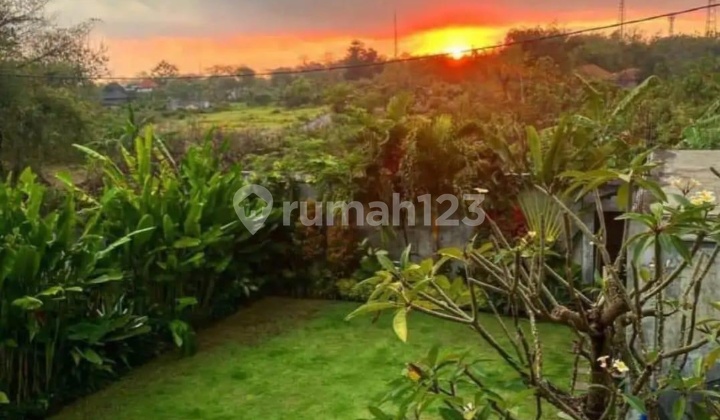 Hot List Top Cheapest in Its Class For Sale Semi Villa House Location Goa Gong Ungasan South Kuta