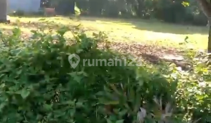 Hot List Top Urgent Termurah Di Kelasnya Di Jual Tanah Lokasi Kawasan Kampus Unud Jimbaran Kuta Selatan Hot List Top Urgent Termurah Di Kelasnya Di Jual Tanah Lokasi Kawasan Kampus Unud Jimbaran Kuta Selatan