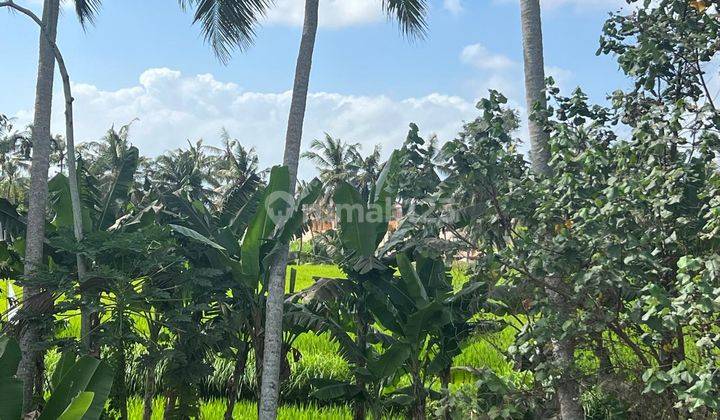 Hot List Top Urgent Termurah Di Kelasnya Di Jual Villa Loss Sungai View Sawah Lokasi Kengetan Ubud Gianyar 2