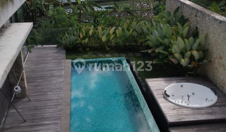 Hot List Top Urgent Termurah Di Kelasnya Di Jual Villa View Sawah Lokasi Pererenan Canggu Kuta Utara Hot List Top Urgent Termurah Di Kelasnya Di Jual Villa View Sawah Lokasi Pererenan Canggu Kuta Utara