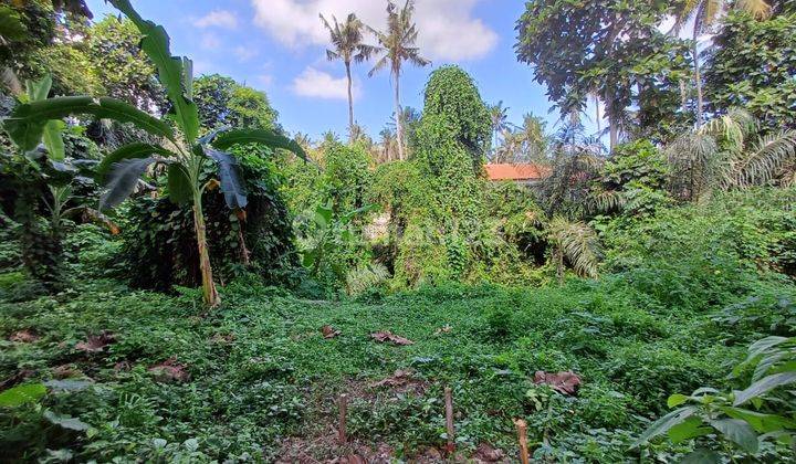 Hot List Land For Sale View Rice Fields And River Location Mas Ubud Gianyar 1