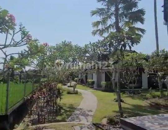 Hot List For Sale Luxury Modern Villa View Rice Fields Location Ubud Gianyar 2