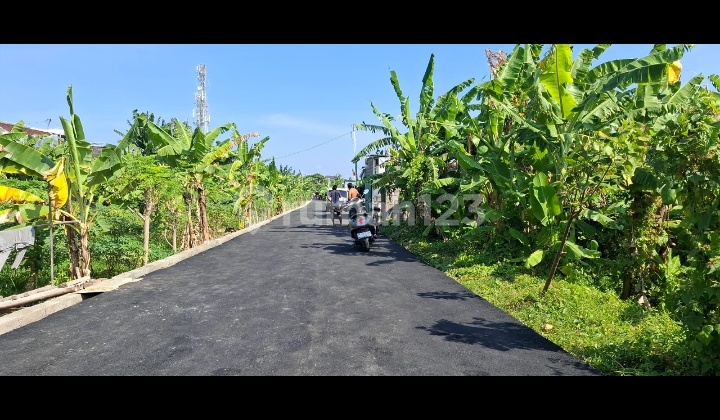 Hot List Top Urgent Termurah Di Kelasnya Di Jual Tanah Lokasi Tukad Petanu Panjer Denpasar Selatan 