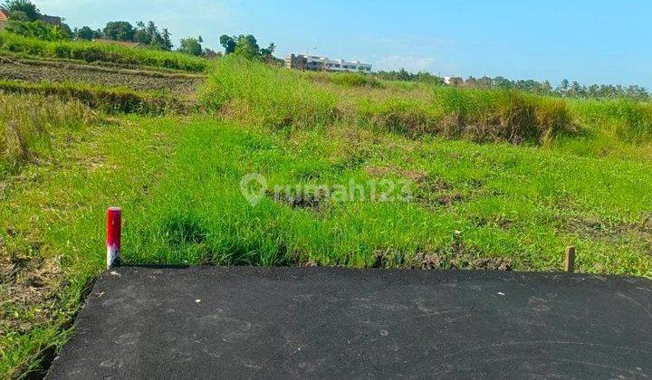 Hot List Top Urgent Termurah Di Kelasnya Di Jual Tanah Kavling View Laut Hutan Dan Sawah Kawasan Strategis Lokasi Kedungu Kediri Tabanan 2