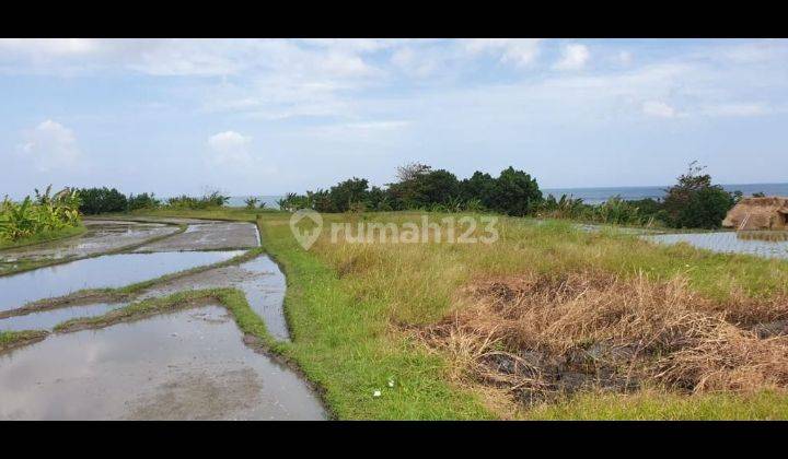 Hot List Top Urgent Termurah Di Kelasnya Di Jual Tanah Loss Pantai Lokasi Yeh Gangga Tabanan  2