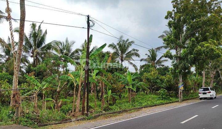 Hot List Land For Sale Location Antosari Selemadeg Tabanan 2