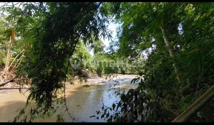 Hot List Top Urgent Termurah Di Kelasnya Di Jual Tanah Lokasi Nyanyi Tabanan 