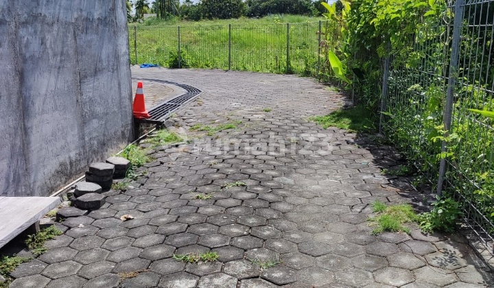 Hot List Top Urgent Cheapest In Its Class For Sale Land Location Sri Khayangan Canggu Brawa North Kuta