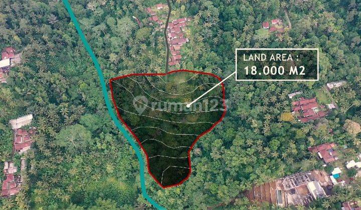 Hot List Di Jual Tanah Lokasi Payangan Ubud Gianyar 1