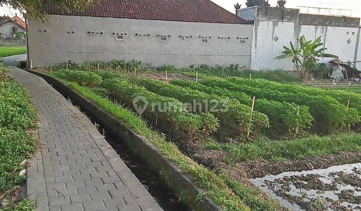 Hot List Top Urgent Cheapest In Its Class For Sale Land View Rice Fields And Sunset Location Antasura North Denpasar 2