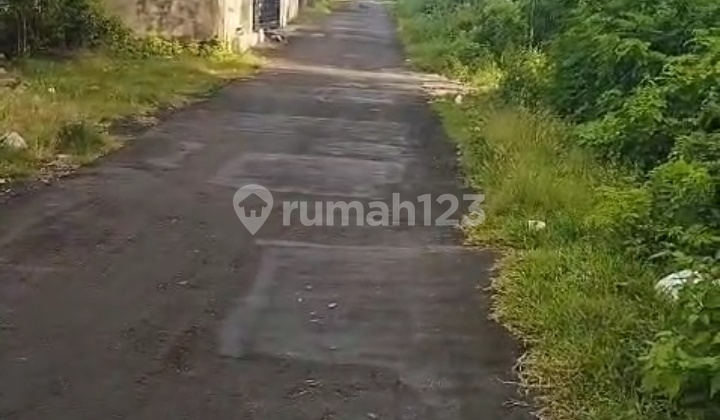 Hot List Top Urgent Termurah Di Kelasnya Di Jual Tanah Lokasi Dekat Stp Nusa Dua Kuta Selatan 