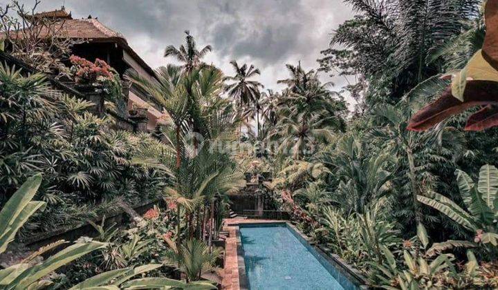 Hot List Di Jual Villa Luxury View Sawah Lokasi Tegalalang Ubud Gianyar 1