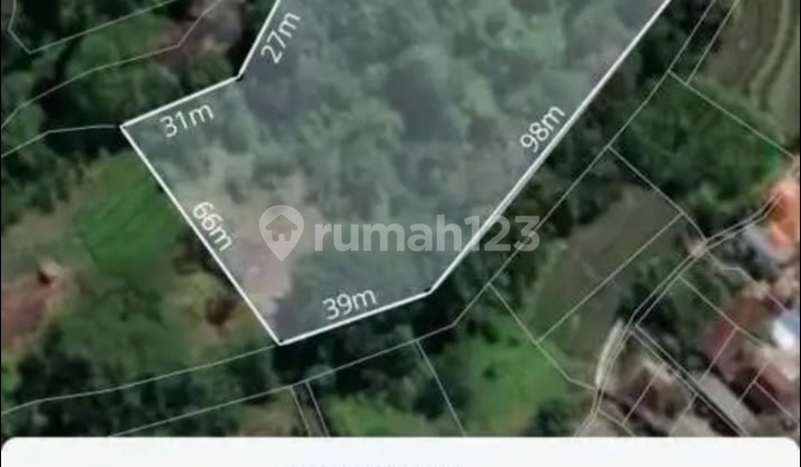Hot List Top Urgent Termurah Di Kelasnya Di Jual Tanah View Sungai Lokasi Cepaka Tabanan 