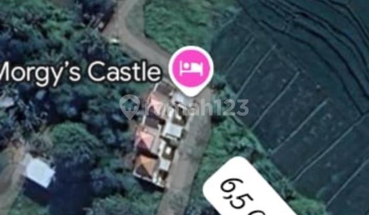 Hot List Top Urgent Cheapest In Its Class For Sale Land Rice Field View Location Tumbak Bayuh Pererenan Canggu North Kuta