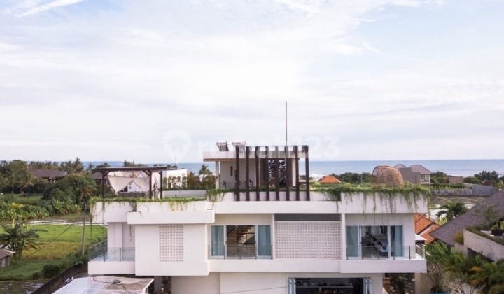 Hot List Top Urgent Termurah Di Kelasnya Di Jual Villa View Sawah Lokasi Cemagi Mengwi Badung Dekat Canggu Hot List Top Urgent Termurah Di Kelasnya Di Jual Villa View Sawah Lokasi Cemagi Mengwi Badung Dekat Canggu