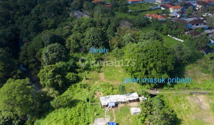 Hot List Top Urgent Cheapest In Its Class For Sale Land View River Location Cepaka Tabanan 1