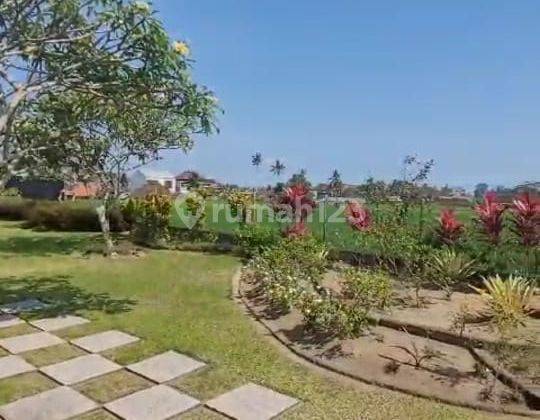 Hot List For Sale Luxury Modern Villa View Rice Fields Location Ubud Gianyar 1