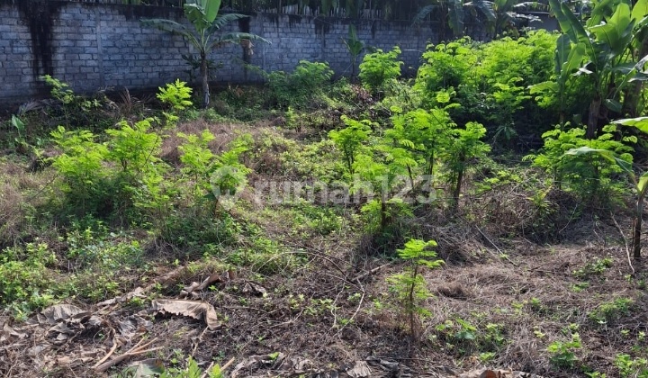 Hot List Top Urgent Cheapest in Its Class For Sale Land Location Camplung Tanduk Seminyak Kuta Hot List Top Urgent Cheapest in Its Class For Sale Land Location Camplung Tanduk Seminyak Kuta