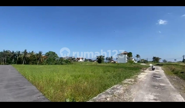 Hot List Top Urgent Termurah Di Kelasnya Di Jual Tanah Lokasi Kedungu Tabanan 