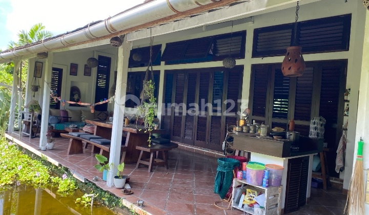 Hot List Top Urgent Cheapest in Its Class For Sale Land Bonus Building Villa Location Padonan Canggu North Kuta