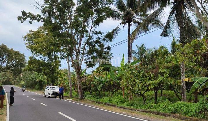 Hot List Land For Sale Location Antosari Selemadeg Tabanan 1