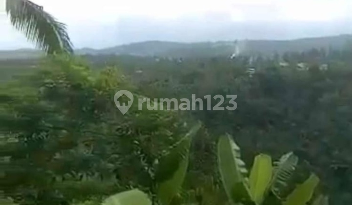 Hot List Top Urgent Termurah Di Kelasnya Di Jual Tanah View Lembah Dan Hutan Lokasi Payangan Gianyar 