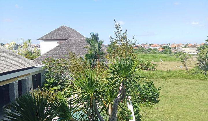 Hot List Di Jual Villa Luxury View Sawah Lokasi Canggu Batu Bolong Kuta Utara  2