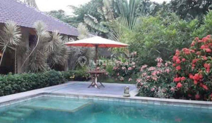 Hot List Di Jual Villa Dengan View Sawah Lokasi Brawa Canggu Kuta Utara  2