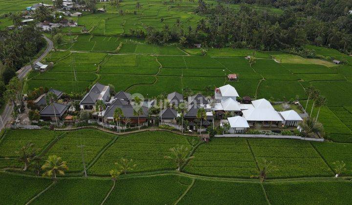 Hot List Di Jual Villa Luxury View Sawah Lokasi Taro Tegalalang Ubud Gianyar  2