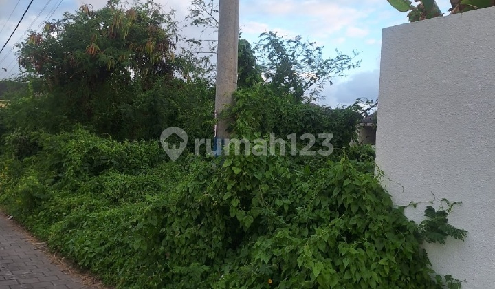 Hot List Top Urgent Cheapest In Its Class For Sale Rice Field View Land Location Cemagi Mengwi Badung Close to Canggu