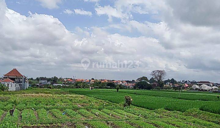 Hot List Top Urgent Cheapest In Its Class For Sale Land View Rice Fields And Sunset Location Antasura North Denpasar 1