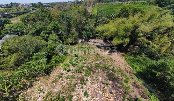 Di Jual Tanah Loss Sungai View Sawah Lokasi Nyanyi Beraban Tabanan