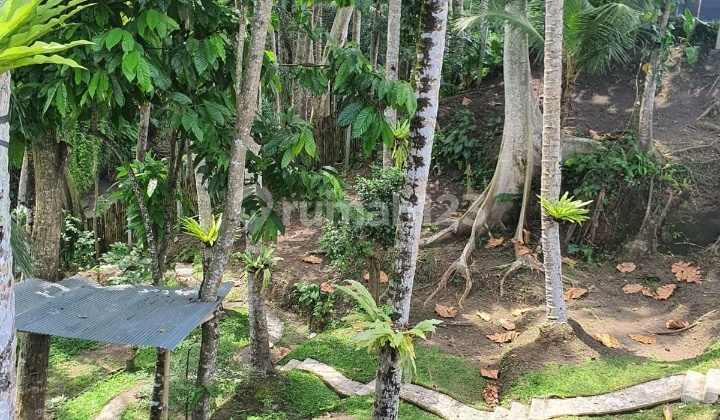 Hot List Top Urgent Termurah Di Kelasnya Di Jual Tanah View Sungai Dan Sawah Lokasi Cepaka Tabanan Dekat Dengan Tumbak Bayuh Canggu 