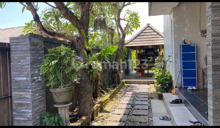 Hot List Top Urgent Termurah Di Kelasnyadi Jual Rumah Lokasi Trengguli Penatih Denpasar Timur  2