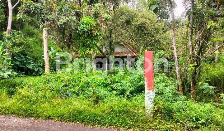 TANAH BONUS RUMAH ASRI DAERAH GUNUNGPATI 1