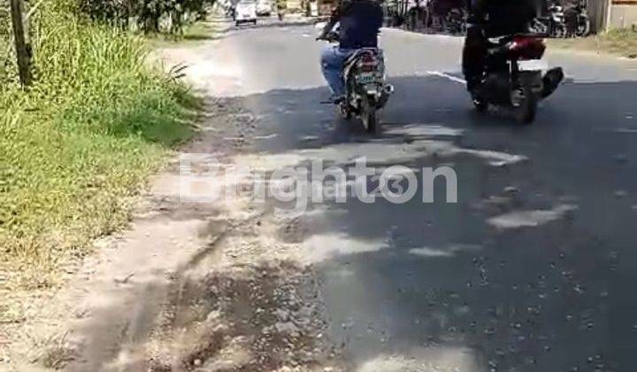 TANAH LUAS DAN STRATEGIS DI PINGGIR JALAN PROVINSI 2