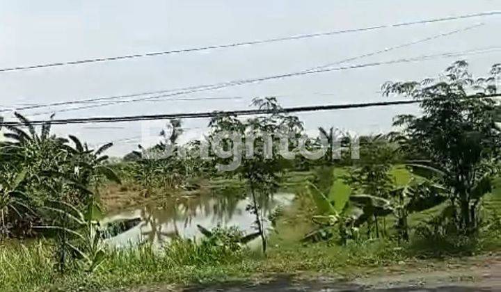 TANAH LUAS DAN STRATEGIS DI PINGGIR JALAN PROVINSI 1