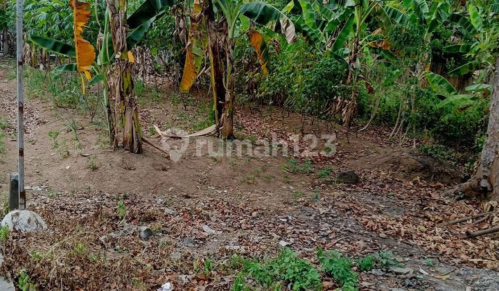 Jual Tanah Jual Tanah