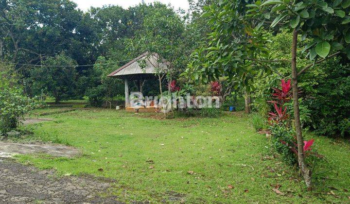 JUAL RUMAH PONGANGAN.GUNUNG PATI.SEMARANG 1