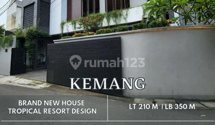 Brand New Tropical Resort House Kemang - 3 Floors + Rooftop | Private Pool | Land Area 210 m² 2