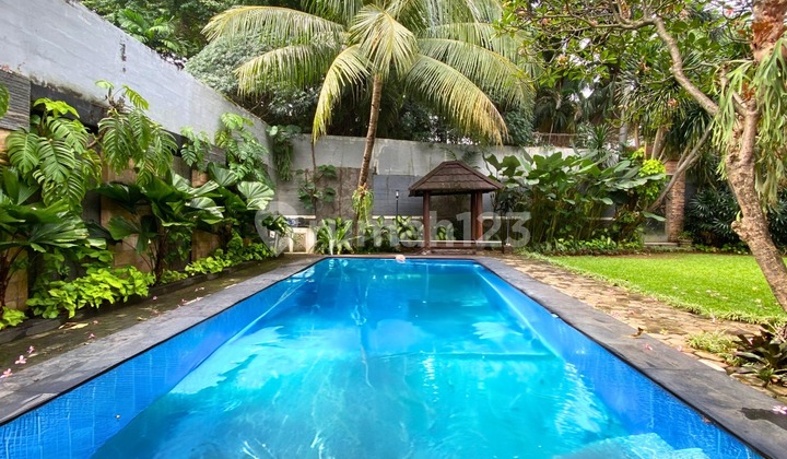 Disewakan Rumah Hunian Klasik Luas dengan Kolam Renang di Cipete Disewakan Rumah Hunian Klasik Luas dengan Kolam Renang di Cipete