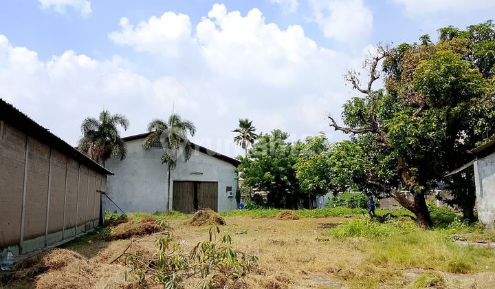 For Rent Warehouse in Rajeg Tangerang - Beside Main Road, Land Area 4,600 M², 40 Ft Container Access For Rent Warehouse in Rajeg Tangerang - Beside Main Road, Land Area 4,600 M², 40 Ft Container Access