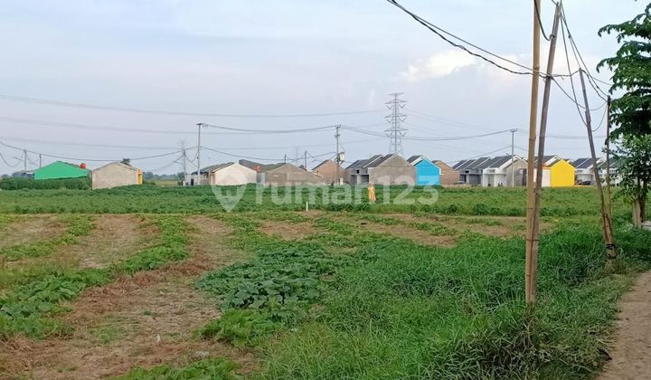 Di Jual Murah Tanah Strategis Cocok Untuk Perumahan Di Jl Raya Babelan
