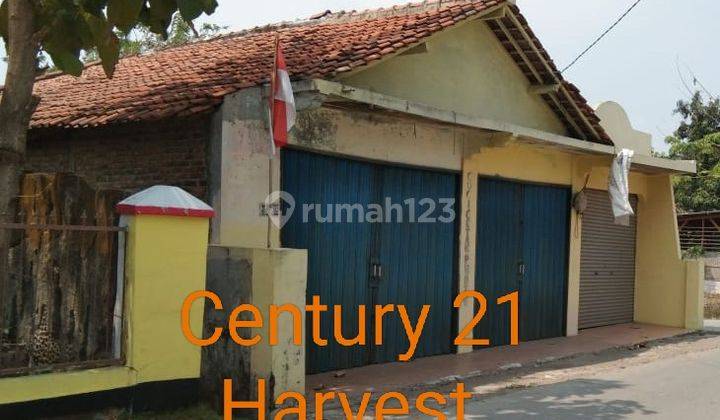 Rumah 1 Lantai Di Pasir Tanjung 1