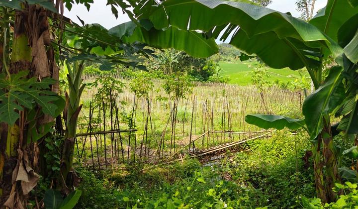 Tanah Komersial  Di Cikarang Cibarusa Dijual Segera. 2