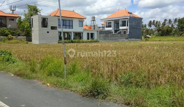 12 Are of Land for Sale, Ubud Tengkulak Location 1