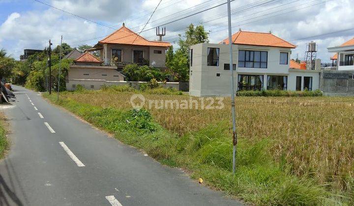 12 Are of Land for Sale, Ubud Tengkulak Location 2